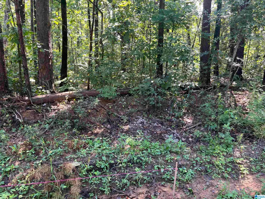 12444 JERRY DRIVE, McCalla, AL 35111 - Image #3