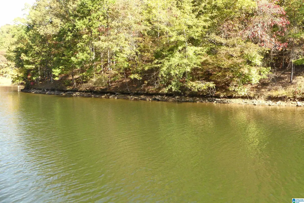 LOT 106 RIVER BIRCH ROAD, Wedowee, AL 36278 - Image #1