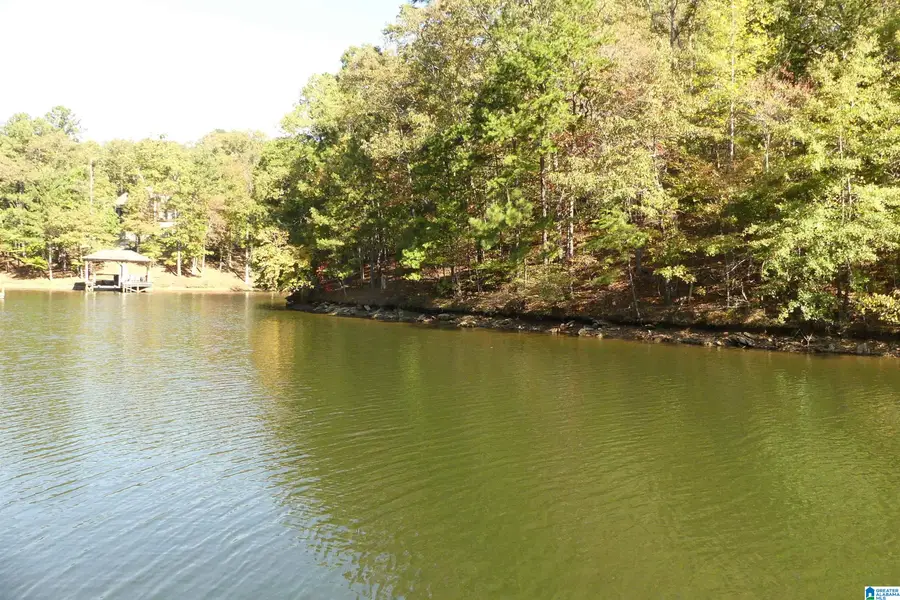LOT 106 RIVER BIRCH ROAD, Wedowee, AL 36278 - Image #2