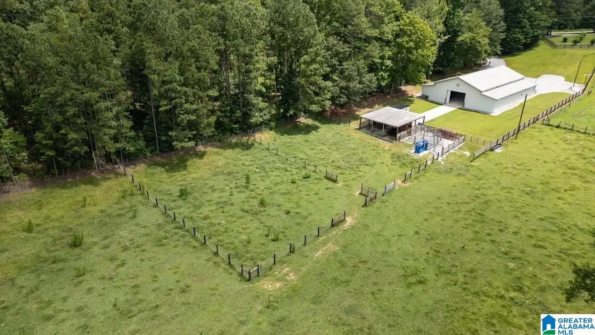 00 COUNTY ROAD 19, Heflin, AL 36264 - Image #1