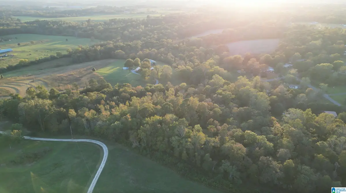 11000 COUNTY ROAD 27, Sylvania, AL 35988 - Image #1