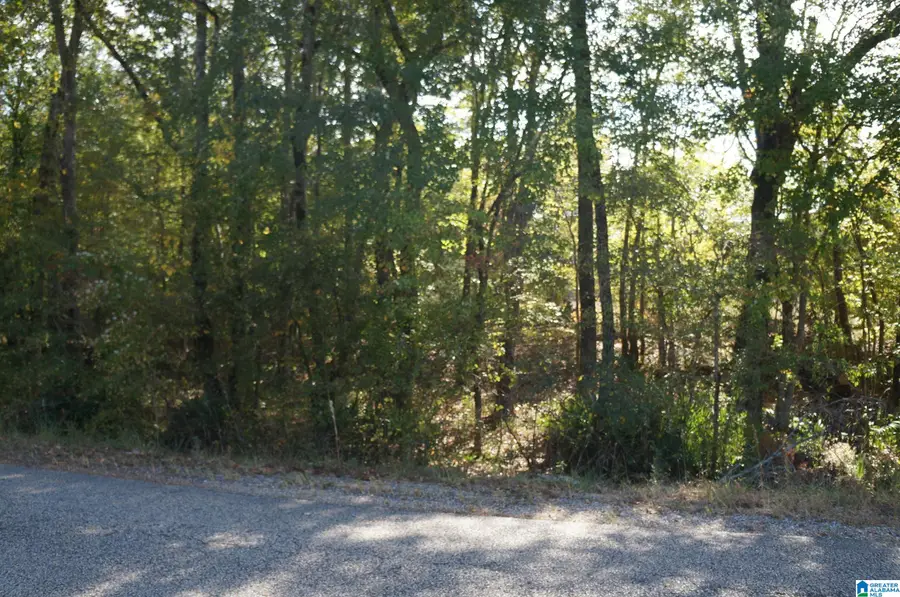 00 OLD FAYETTEVILLE ROAD, Sylacauga, AL 35151 - Image #2