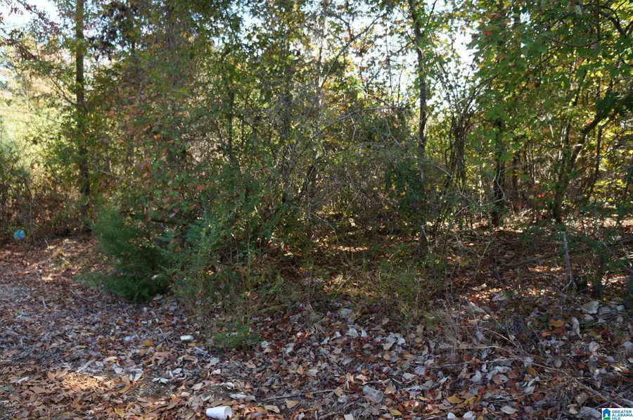 00 FULTON GAP ROAD, Sylacauga, AL 35150 - Image #3