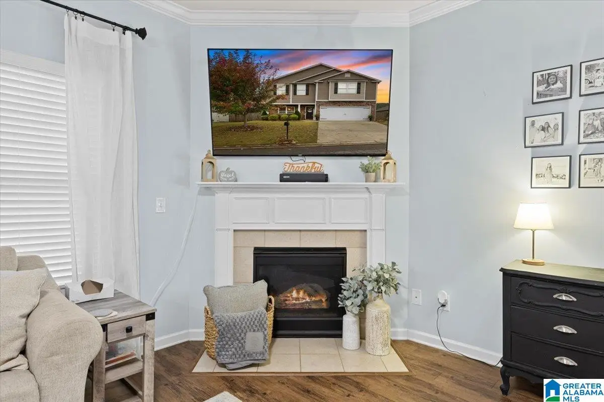 325 BLACKBERRY BOULEVARD, Springville, AL 35146 - Image #1