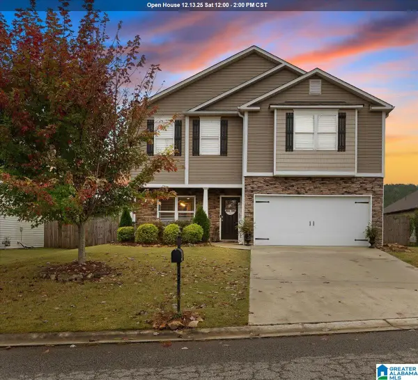 325 BLACKBERRY BOULEVARD, Springville, AL 35146