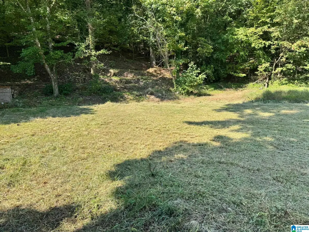15 SUNSET STRIP, Oneonta, AL 35121 - #1