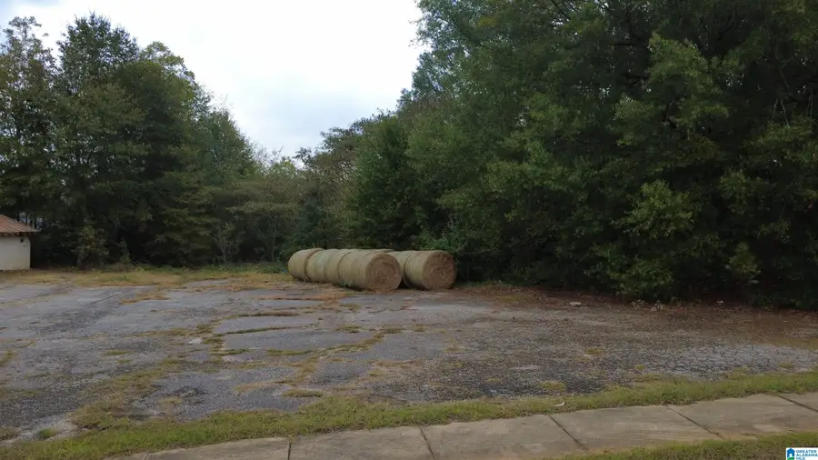 0 WHITE STREET, Roanoke, AL 36274 - Image #2