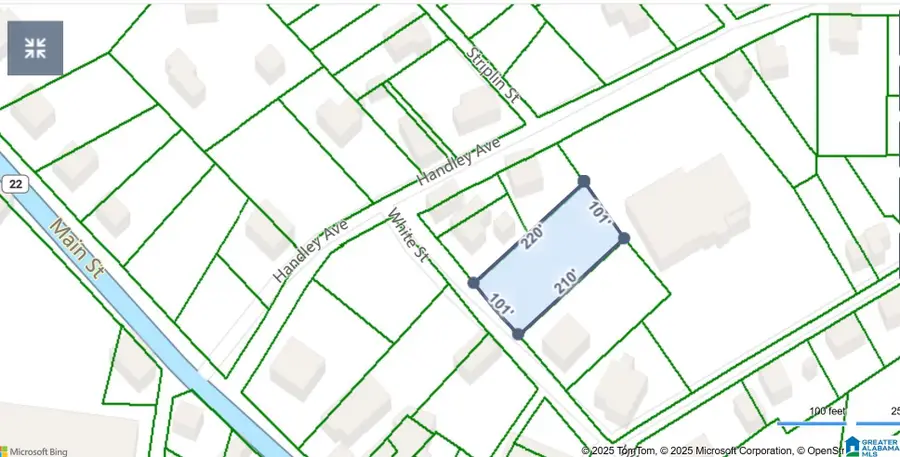 0 WHITE STREET, Roanoke, AL 36274 - Image #3