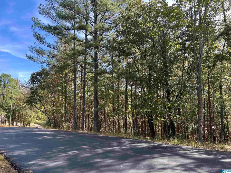 3874 BLACK HAWK DRIVE, Bessemer, AL 35022 - #2