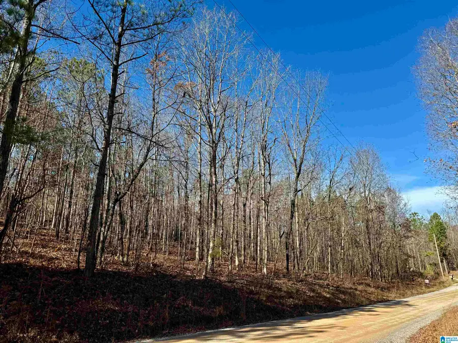 1383 TRAMMELL MOTORWAY, Sylacauga, AL 35150 - Image #2