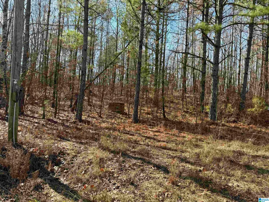 1383 TRAMMELL MOTORWAY, Sylacauga, AL 35150 - Image #3