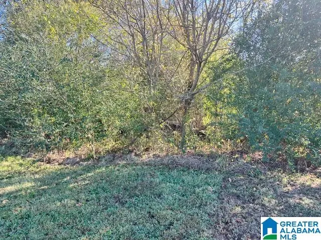 0 17TH STREET N, Pell City, AL 35125 - Image #1