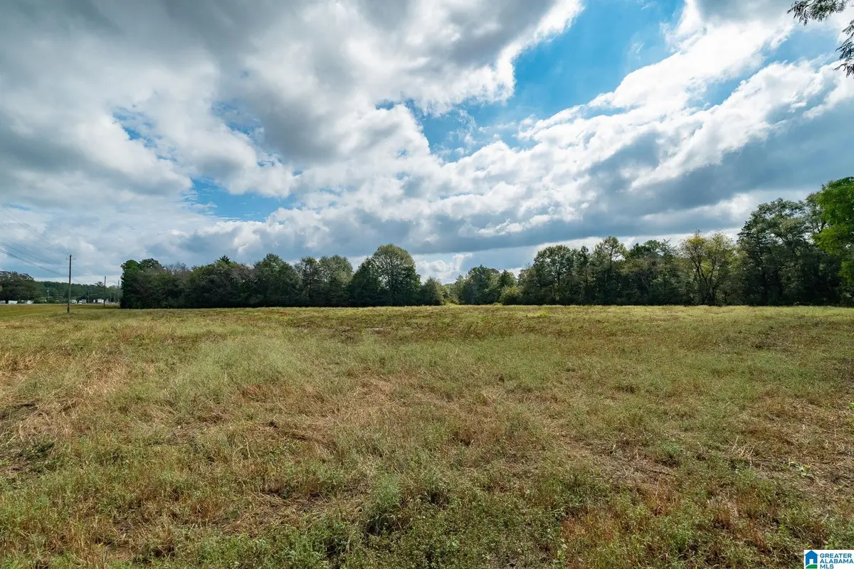 0 ALLRED ROAD, Lincoln, AL 35096 - Image #1