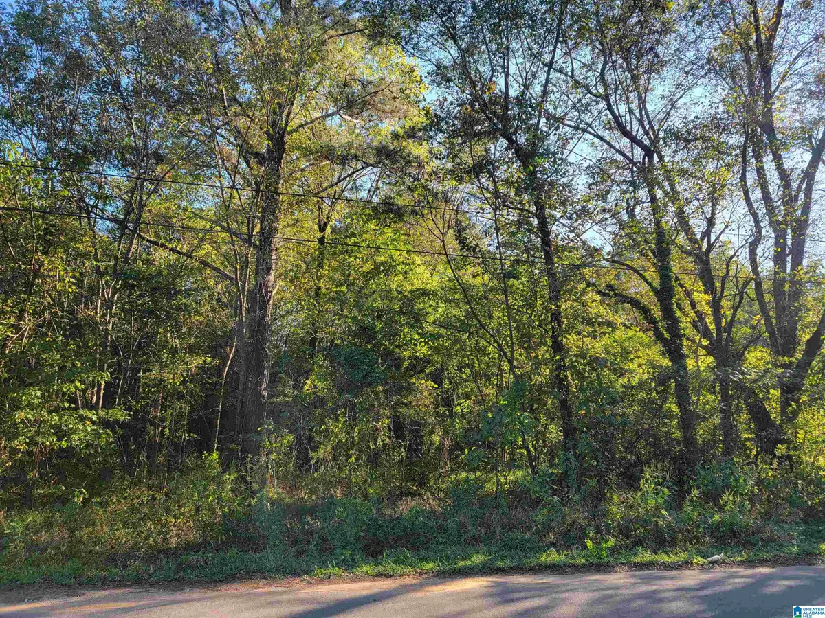 308 PINE STREET SW, Bessemer, AL 35022 - Image #1