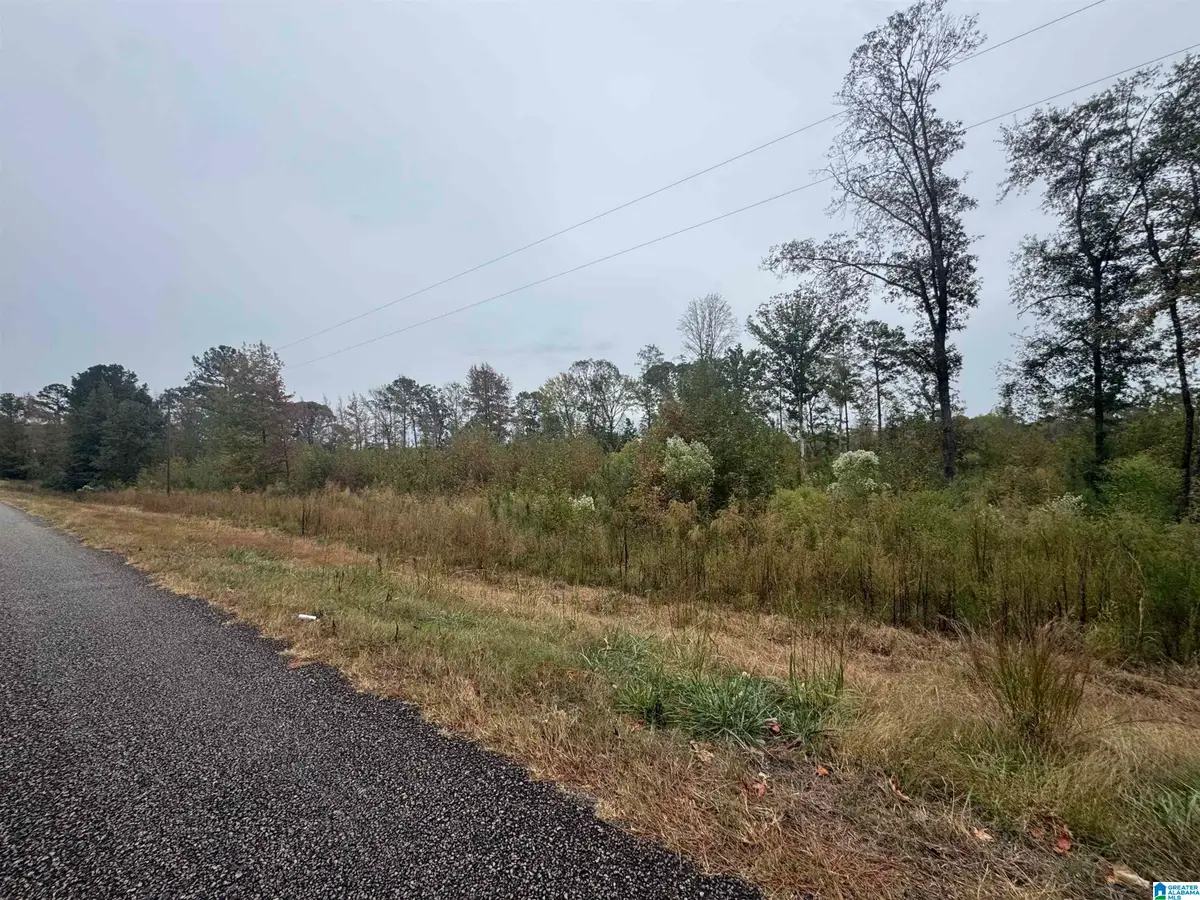 COUNTY ROAD 104, Roanoke, AL 36274 - Image #1