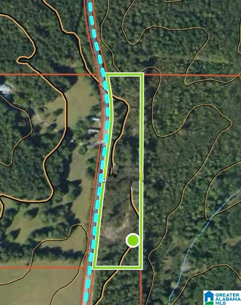 COUNTY ROAD 104, Roanoke, AL 36274 - Image #3