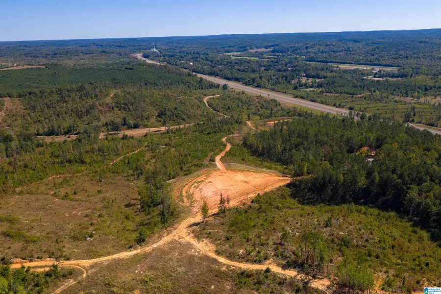 2711 MONTGOMERY HIGHWAY, Centreville, AL 35042 - Image #3