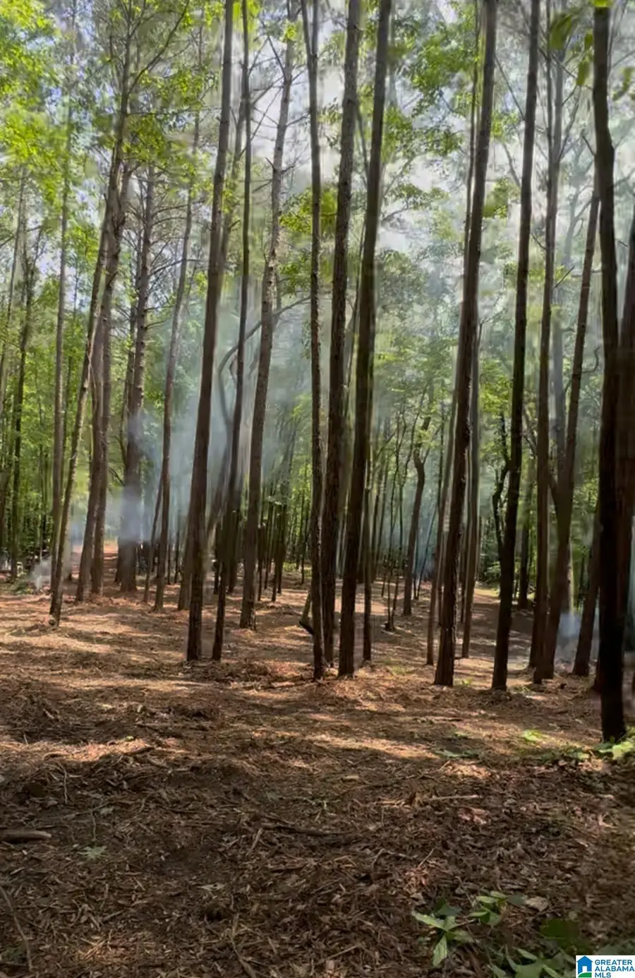 399 MAGNOLIA LANE, Vandiver, AL 35176 - Image #2