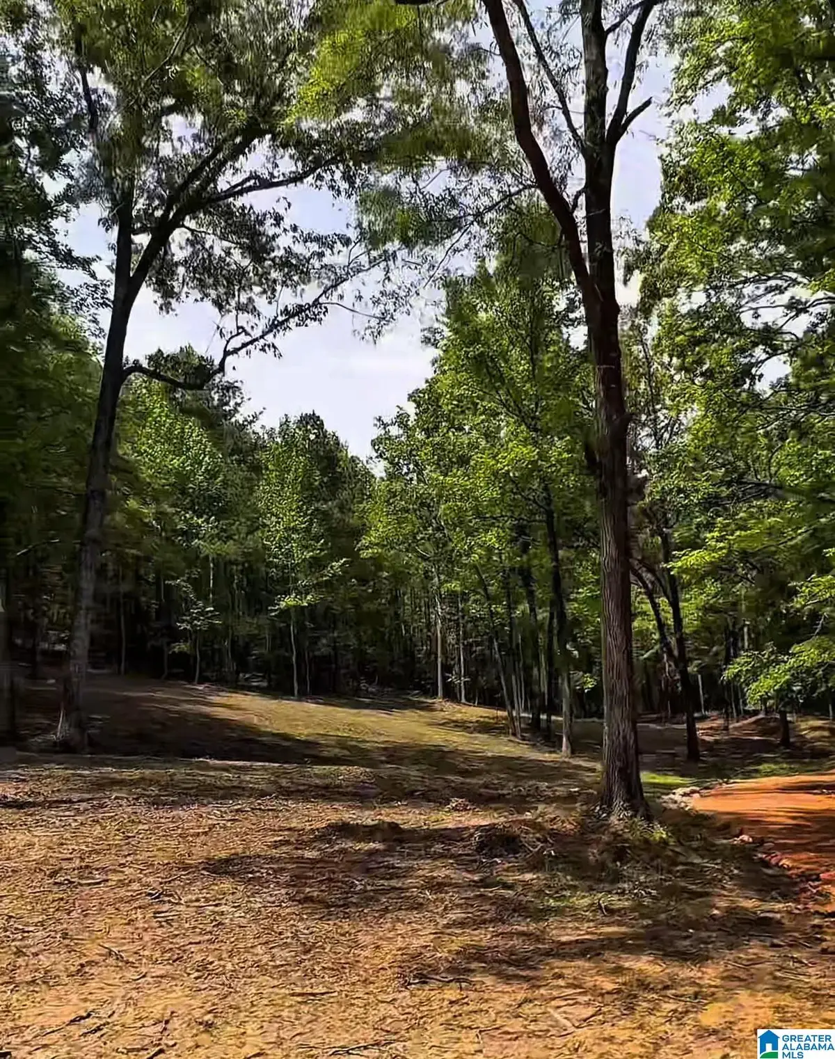 377 MAGNOLIA LANE, Vandiver, AL 35176 - Image #1