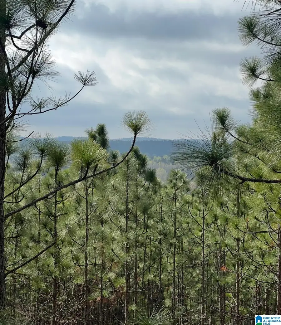 377 MAGNOLIA LANE, Vandiver, AL 35176 - Image #2