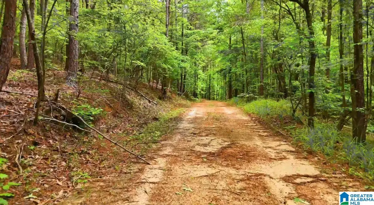 367 MAGNOLIA LANE, Vandiver, AL 35176 - Image #1