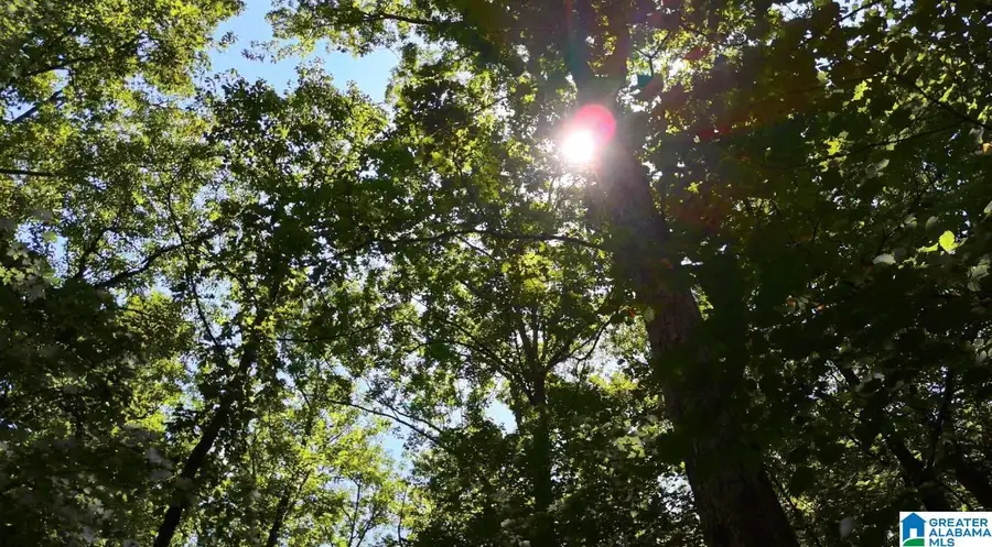 367 MAGNOLIA LANE, Vandiver, AL 35176 - Image #3