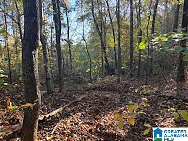 0 COUNTY ROAD 624, Woodland, AL 36280