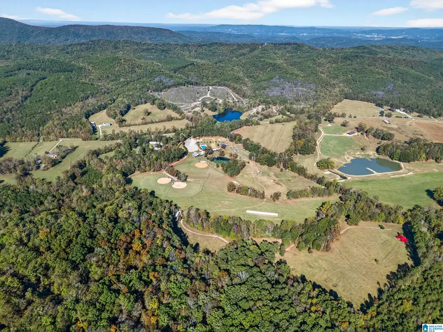 3463 COUNTY ROAD 3, Delta, AL 36258 - Image #2