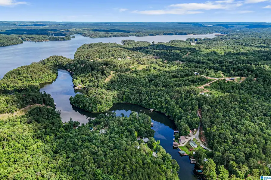 439 COUNTY ROAD 186, Clanton, AL 35046 - Image #3