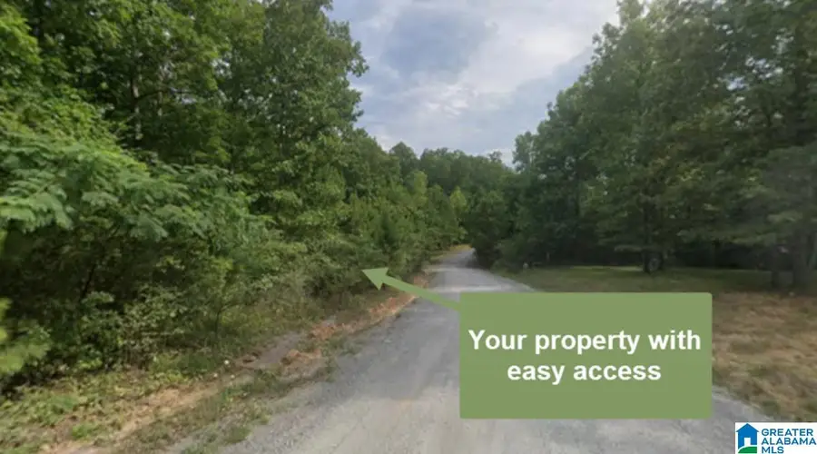 COUNTY ROAD 907, Crane Hill, AL 35053 - Image #2