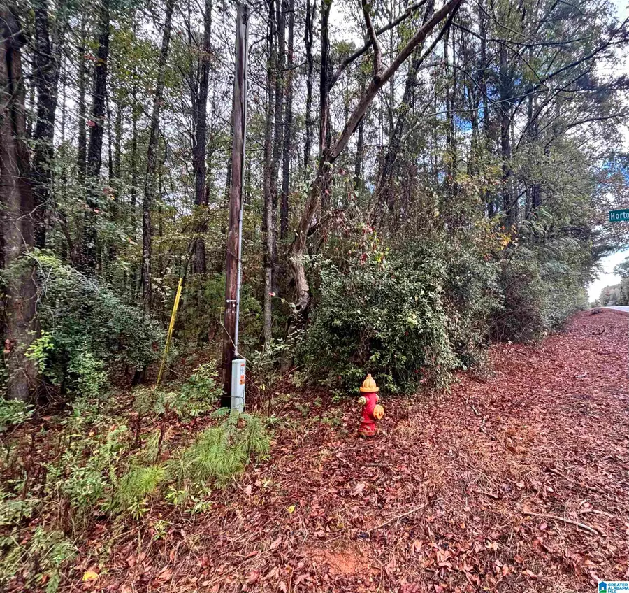 275 JONESBORO CIRCLE, Columbiana, AL 35051 - #2