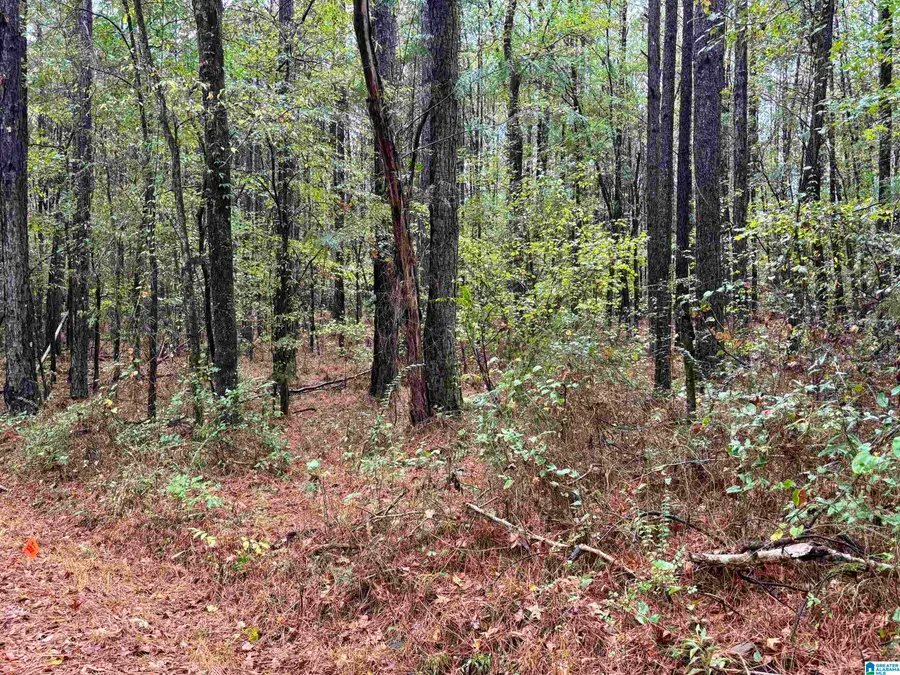 275 JONESBORO CIRCLE, Columbiana, AL 35051 - #3