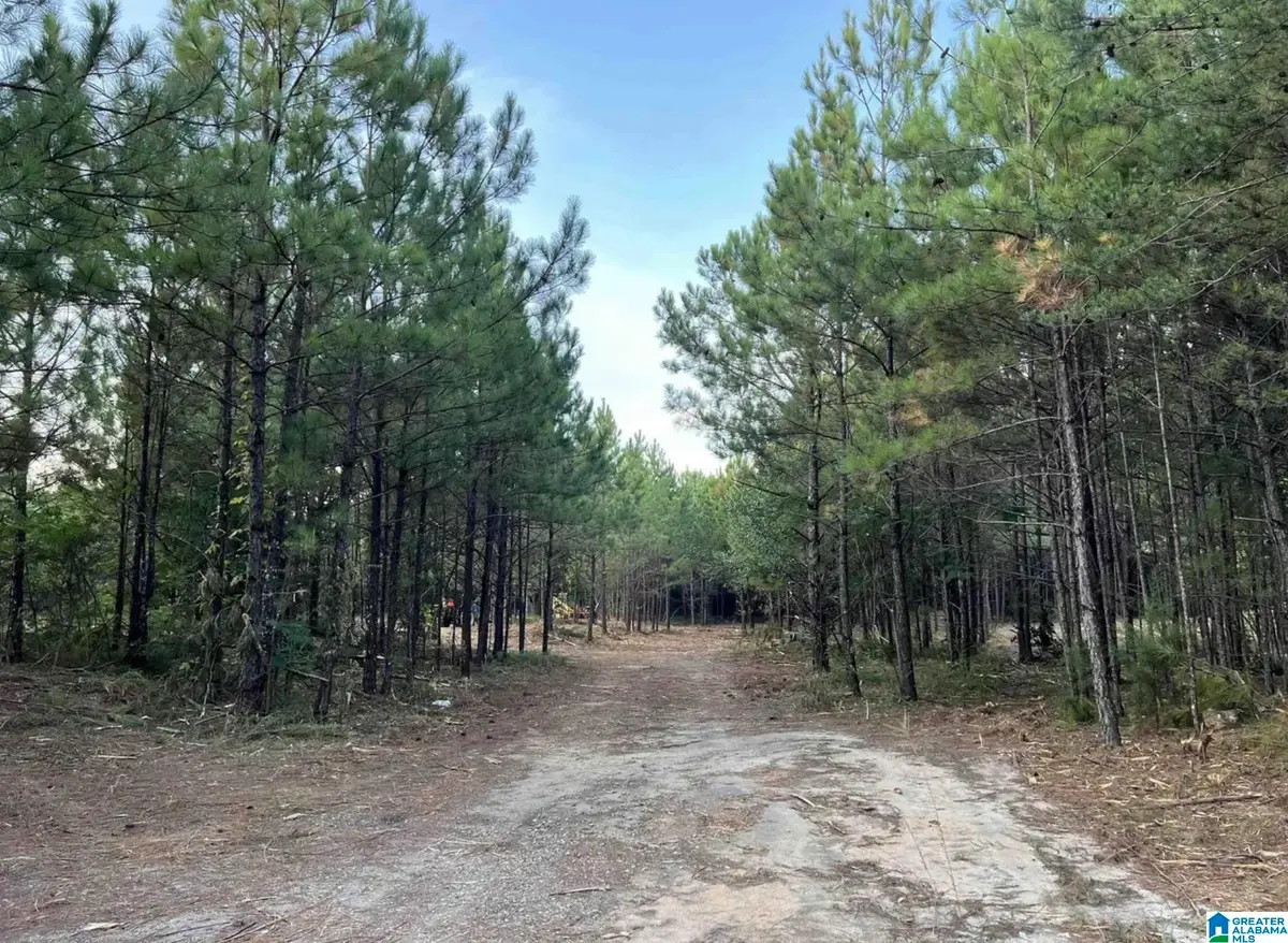 2210 SWEENEY HOLLOW ROAD, Clay, AL 35215 - Image #1