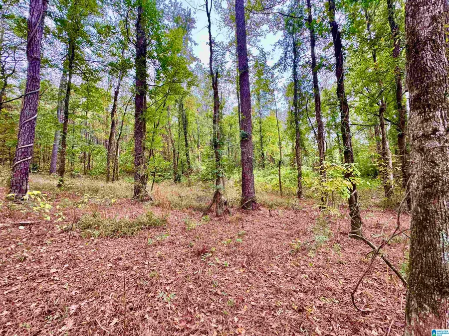 0 HIGHWAY 25, Columbiana, AL 35051 - Image #2