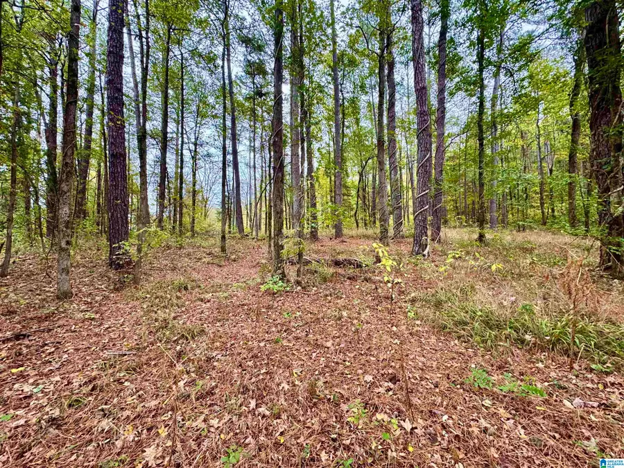 0 HIGHWAY 25, Columbiana, AL 35051 - Image #3