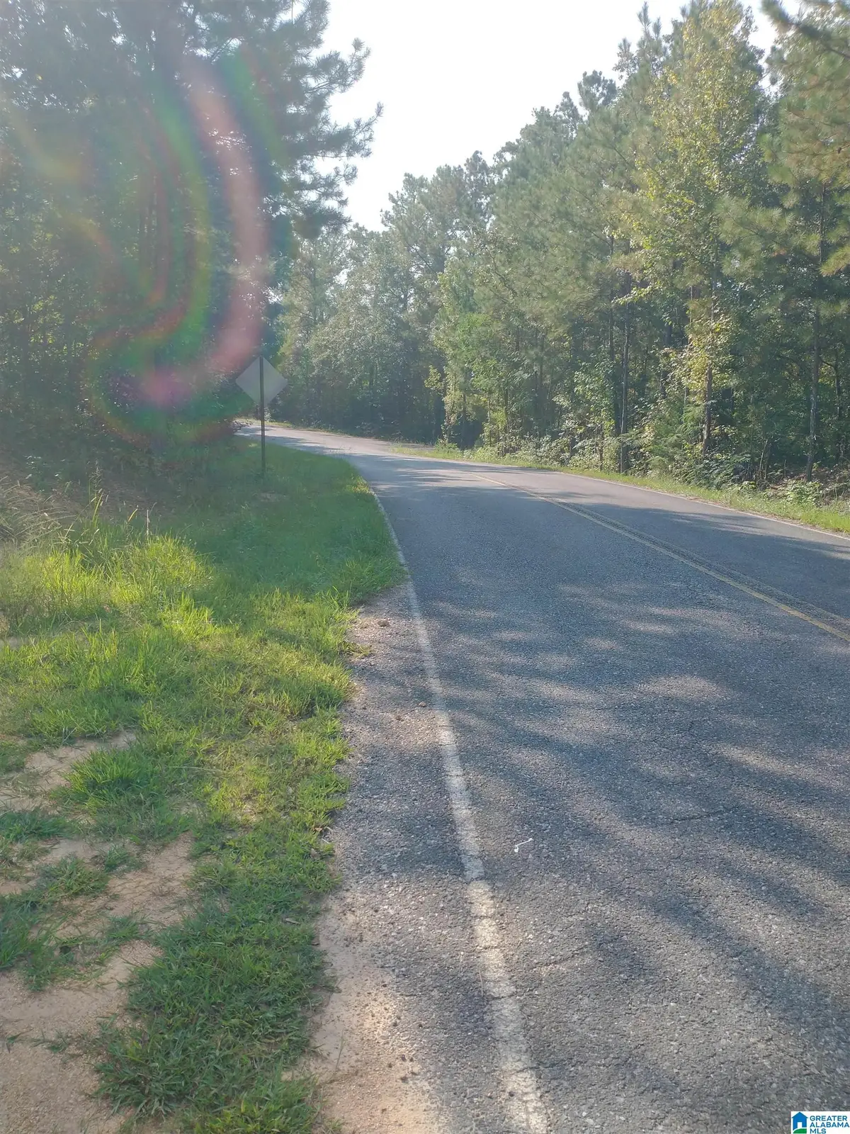 738 MCKESIE STREET, Riverside, AL 35135 - Image #1