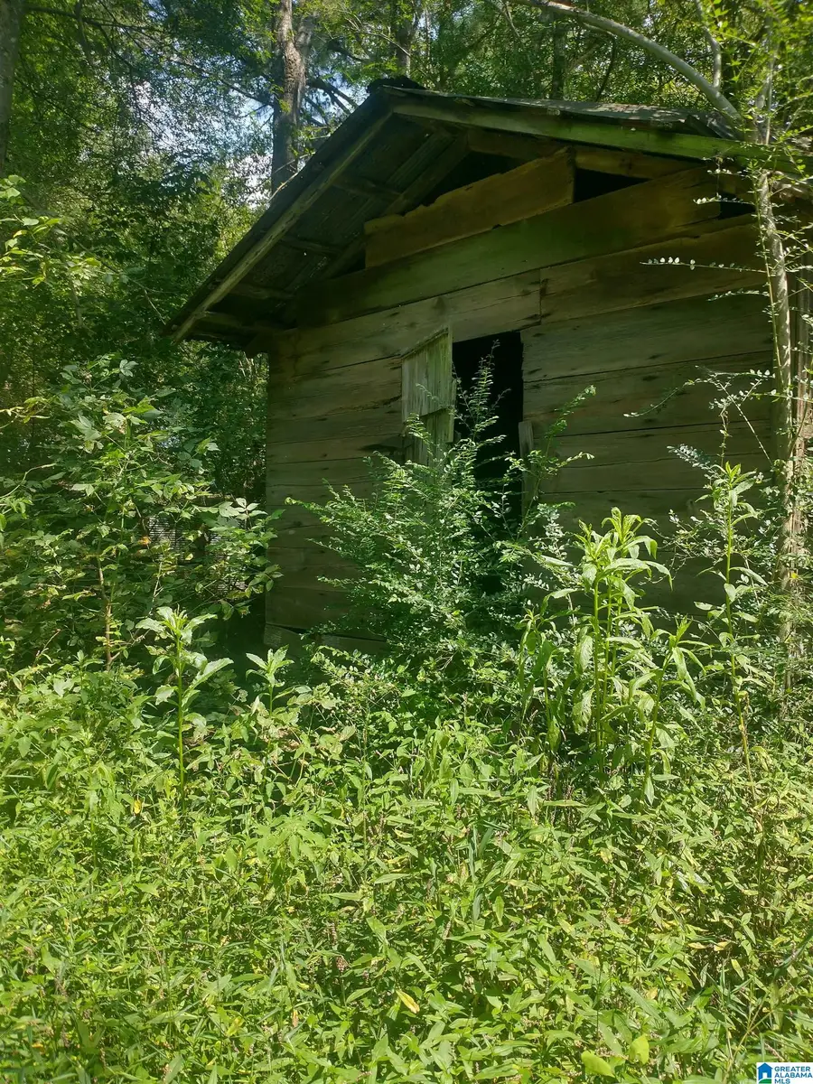 0020 COUNTY ROAD 150, Weogufka, AL 35183 - Image #2