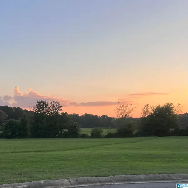 8411 DANIEL TRAIL, Dora, AL 35062