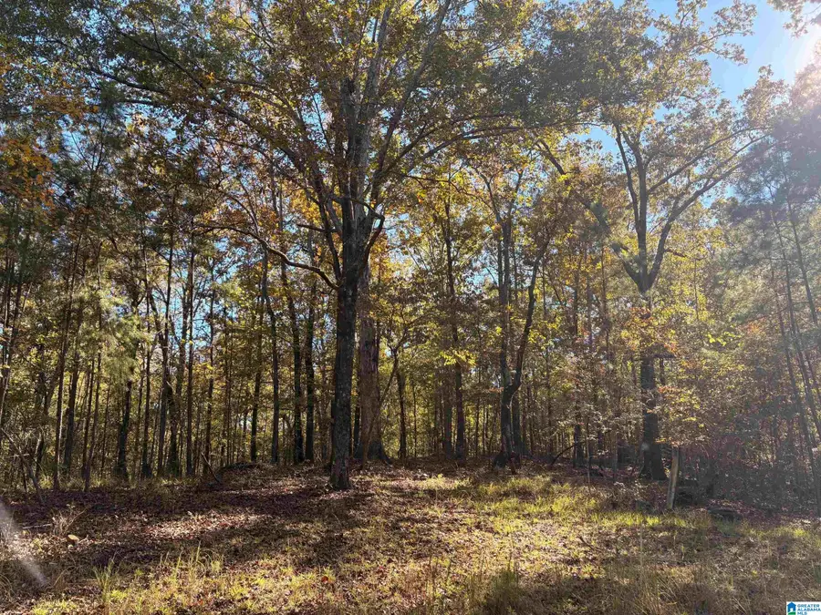 4568 CABIN ROAD, Greenwood, AL 35022 - Image #2