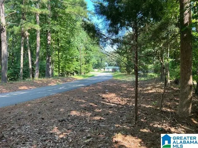 655 BUDDY VINES CAMP ROAD, Bessemer, AL 35023 - Image #3