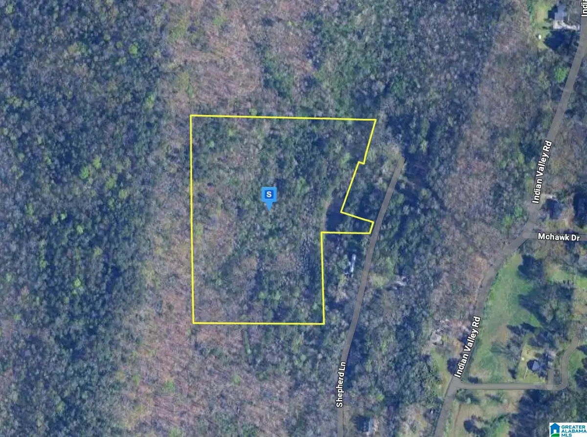 4535 SHEPHERD LANE, Birmingham, AL 35217 - Image #1