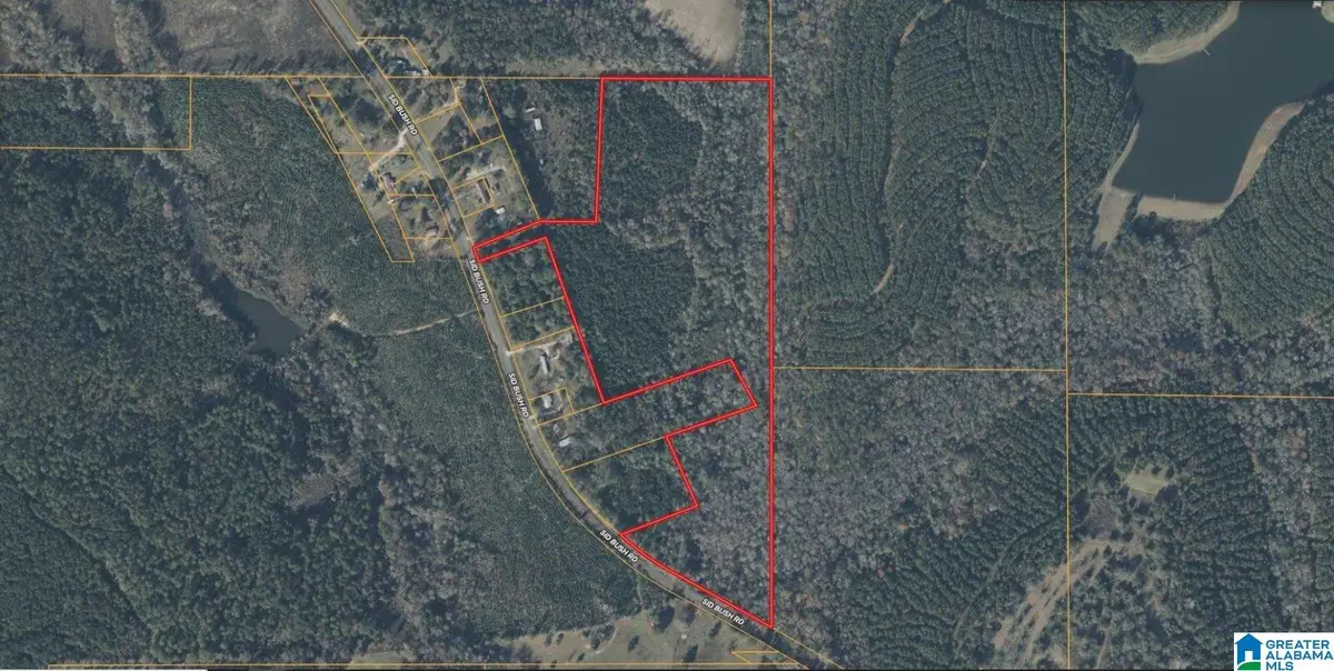 0 SID BUSH ROAD, Clayton, AL 36016 - Image #1