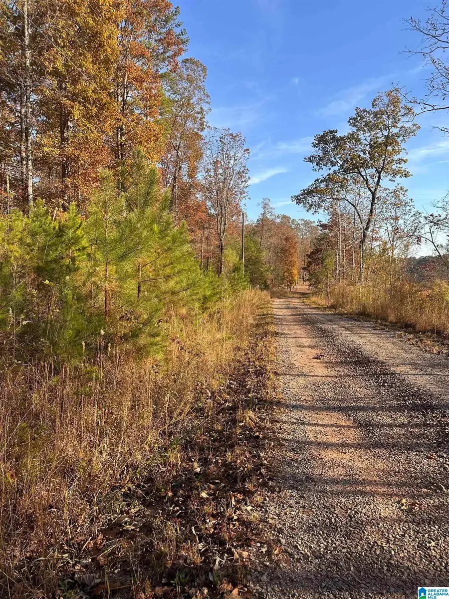 0 HARBOUR POINT DRIVE, Folsom, AL 36258 - Image #3