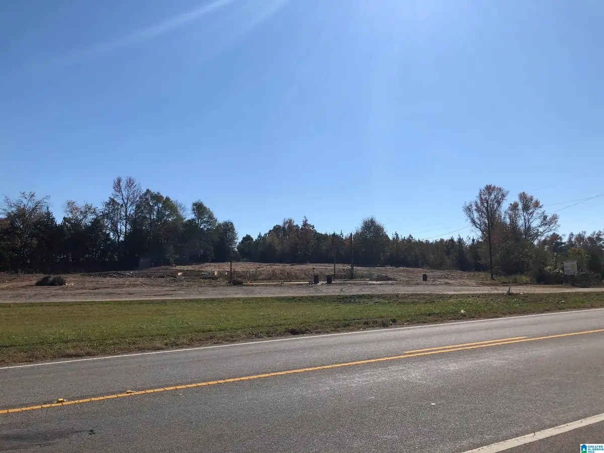 0 COUNTY ROAD 453, Clanton, AL 35046 - Image #1
