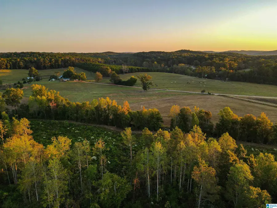 845 TURNER ROAD, Fayette, AL 35555 - Image #3