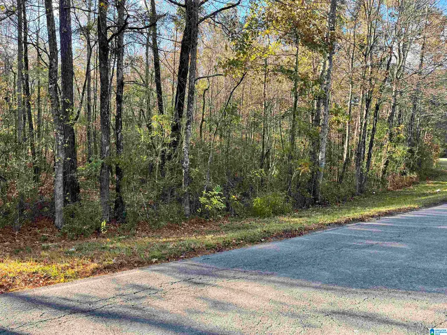 0 OLD COAL CITY ROAD, Pell City, AL 35125 - Image #3