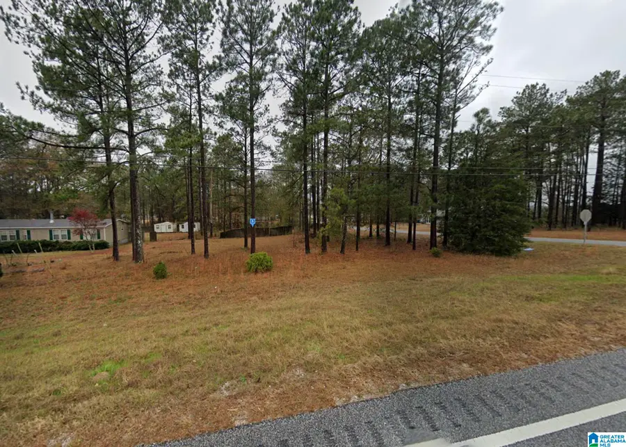 12755 HIGHWAY 169, Salem, AL 36874 - Image #3