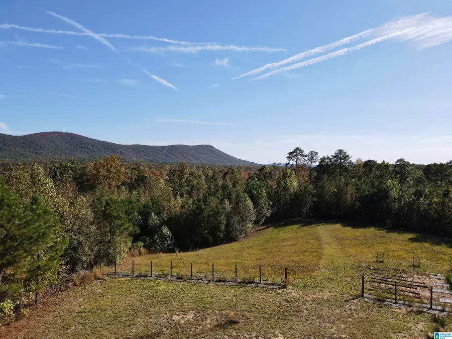 7070 RENDALIA MOTORWAY, Talladega, AL 35160 - Image #3