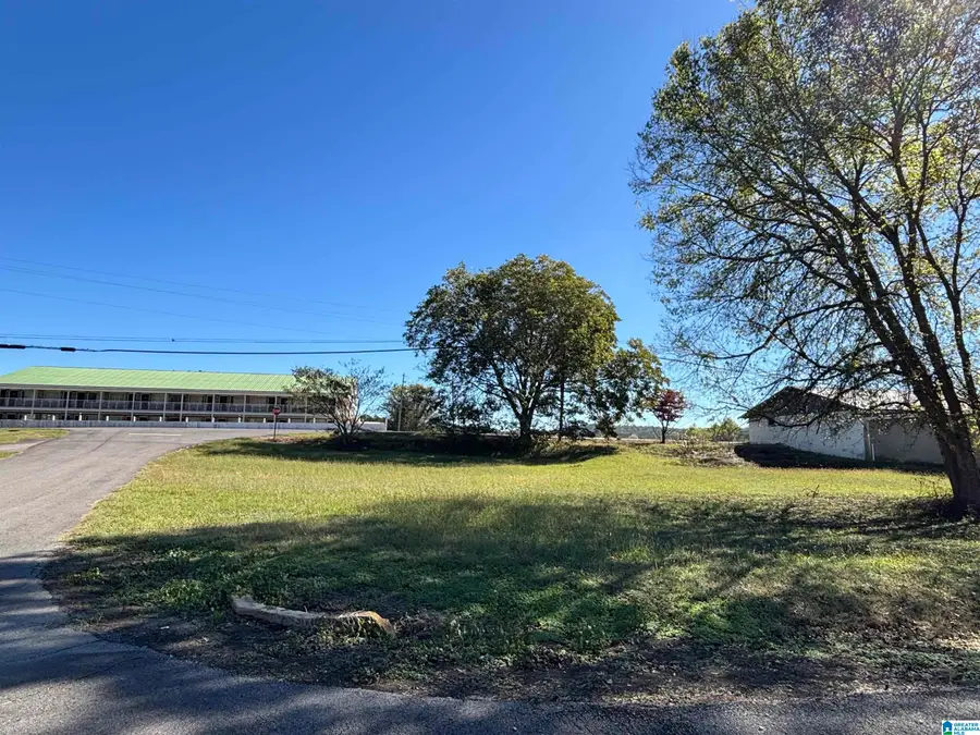 HIGH SCHOOL STREET, Oneonta, AL 35121 - Image #3