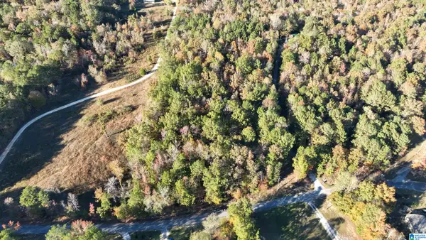 0 WALDROP ROAD, Ashville, AL 35953